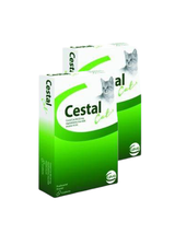 Cestal Cat tabletki na odrobaczanie kotów 4 tabletki