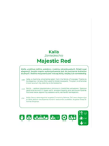 Kalla Majestic Red czerwona 1szt.