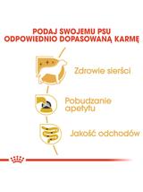 ROYAL CANIN Yorkshire Terrier Adult 12x85g karma mokra - pasztet, dla psów dorosłych rasy yorkshire terrier