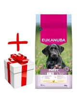 Eukanuba puppy&junior large breed 15kg +  niespodzianka dla psa GRATIS!