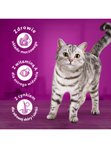 WHISKAS Sterile 3x3,8 kg - sucha karma dla dorosłego kota po zabiegu kastracji, z pysznym kurczakiem