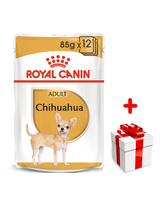 ROYAL CANIN Chihuahua Adult 12x85g karma mokra - pasztet, dla psów dorosłych rasy  + niespodzianka dla psa GRATIS