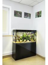 AQUAEL ZESTAW GLOSSY 100 D&N CZARNY + SZAFKA