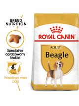ROYAL CANIN Beagle Adult 12kg karma sucha dla psów dorosłych rasy beagle + niespodzianka dla psa GRATIS!