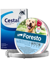 ELANCO Foresto Obroża dla psów powyżej 8kg+ Cestal Dog Plus tabletki na odrobaczanie psów 2 sztuki