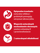 PEDIGREE® Adult Karma mokra dla psów dorosłych, Wybór Smaków w Galaretce, saszetka 80 x 100 g