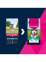 Eukanuba Adult Large Salmon&Barley 12kg