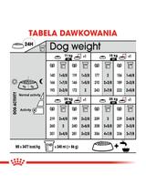 ROYAL CANIN CCN Medium Sterilised 12kg karma sucha dla psów dorosłych, ras średnich, sterylizowanych