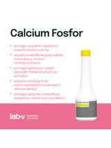 Lab-v Calcium Fosfor - Mieszanka Paszowa Uzupełniająca Mineralna Dla Bydła Pomocna W Okresie Okołoporodowym 500g