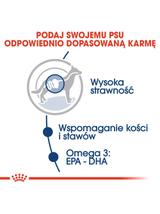 ROYAL CANIN Maxi Adult 10x140g karma mokra w sosie dla psów dorosłych ras dużych