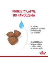 ROYAL CANIN Mini Starter Mother & Babydog 1kg karma sucha dla suk w ciąży i okresie laktacji oraz szczeniąt, od 4 do 8 tygodnia, ras małych  + niespodzianka dla psa GRATIS!