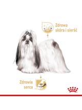 ROYAL CANIN Shih Tzu Adult 12x85g karma mokra -pasztet, dla psów dorosłych rasy shih tzu