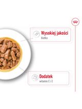 ROYAL CANIN Medium Adult 10x140g karma mokra w sosie dla psów dorosłych ras średnich