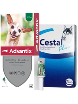 Advantix - dla psów do 4kg (4 pipety x 0,4ml)+ Cestal Dog Plus tabletki na odrobaczanie psów 2 sztuki