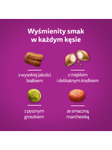 WHISKAS Sterile 3,8 kg - sucha karma dla dorosłego kota po zabiegu kastracji, z pysznym kurczakiem