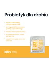Lab-v Probiotyk - Mieszanka Paszowa Uzupełniająca Dla Drobiu Na Ustabilizowanie Pracy Przewodu Pokarmowego 22g
