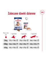 ROYAL CANIN Maxi Ageing 8+ 14,4kg karma sucha dla psów dojrzałych, po 8 roku życia, ras dużych / 14,4kg / Opakowanie uszkodzone (6930,9562) !!!