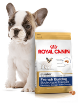 ROYAL CANIN French Bulldog Puppy 10kg karma sucha dla szczeniąt do 12 miesiąca, rasy bulldog francuski + niespodzianka dla psa GRATIS!
