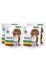 Perfect Fit™ Senior 10+ 4x825g – sucha karma pełnoporcjowa dla psów małych ras powyżej 10 lat, bogata w kurczaka