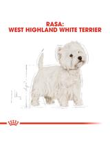 ROYAL CANIN West Highland White Terrier Adult 3kg karma sucha dla psów dorosłych rasy west highland white terrier / opakowanie uszkodzone (7982)!!