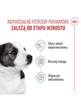 ROYAL CANIN Mini Puppy 2kg karma sucha dla szczeniąt, od 2 do 10 miesiąca życia, ras małych/Opakowanie uszkodzone (8970)