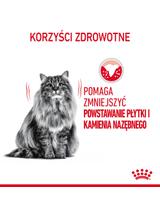 ROYAL CANIN  Oral Care 8kg + niespodzianka dla kota GRATIS!