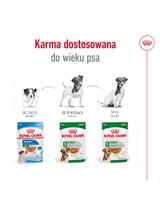 ROYAL CANIN Mini Adult 12x85g karma mokra w sosie dla psów dorosłych, ras małych