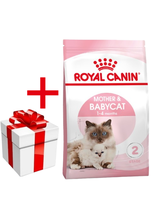 ROYAL CANIN  Mother&Babycat 2kg + niespodzianka dla kota GRATIS!