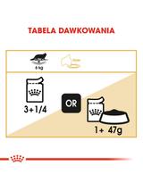 ROYAL CANIN Maine Coon Adult saszetka 12x85g (Sos)