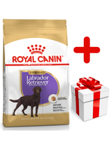 ROYAL CANIN Labrador Retriever Sterilised Adult 12kg + niespodzianka dla psa GRATIS!