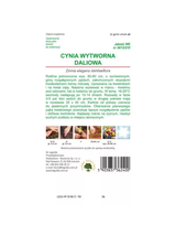 Cynia wytworna daliowa Illumination - różowa