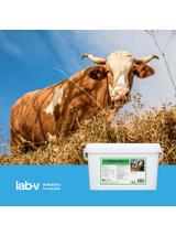 Lab-v Stoper Vet - Mieszanka Paszowa Uzupełniająca Na Ustabilizowanie Funkcjonowania Przewodu Pokarmowego Dla Bydła Dorosłego 1,1kg