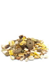 VERSELE LAGA Snack Popcorn 650g - mieszanka uzupełniająca z popcornem dla gryzoni
