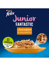 FELIX Junior Kurczak w galaretce - saszetka 26x85g