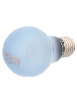 RP Żarówka  Daylight Neodymium 75W