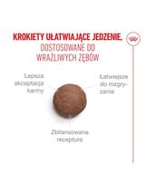 ROYAL CANIN Ageing Sterilised 11+ 4kg karma sucha dla kotów dojrzałych po 11 roku życia, sterylizowanych