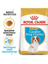 ROYAL CANIN Cavalier King Charles Spaniel Puppy 1,5kg karma sucha dla szczeniąt do 10 miesiąca, rasy cavalier king charles spaniel