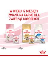 ROYAL CANIN Kitten Instinctive w sosie 12x85g karma mokra w sosie dla kociąt do 12 miesiąca życia +  NIESPODZIANKA DLA KOTA GRATIS!!