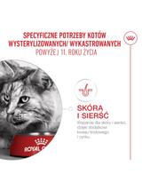 ROYAL CANIN Ageing Sterilised 11+ 4kg karma sucha dla kotów dojrzałych po 11 roku życia, sterylizowanych