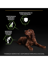 Purina Pro Plan Large Puppy Athletic Optistart, kurczak i ryż 12kg