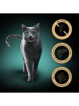 SHEBA Nature’s Collection tacka 85 g – mokra karma pełnoporcjowa dla dorosłych kotów, kawałki z łososiem przybranym groszkiem, w sosie