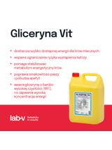 Lab-v Gliceryna Vit - Mieszanka Paszowa Uzupełniająca Dla Krów Mlecznych Zmniejszająca Ryzyko Wystąpienia Ketozy 5kg
