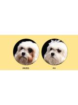 NATURES PROTECTION Superior Care White Dogs Adult 1,5kg + Torba na zakupy