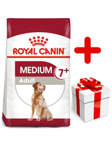 ROYAL CANIN Medium Adult 7+ 15kg karma sucha dla psów starszych od 7 do 10 roku życia, ras średnich + niespodzianka dla psa GRATIS!
