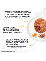 Purina Gourmet Gold Karma dla kotów Savoury Cake 48 x 85 g