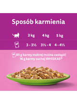 WHISKAS Adult saszetki 160x85g Mix Smaków - mokra karma dla dorosłego kota, w galaretce (kawałki z: wołowiną, kurczakiem, łososiem, tuńczykiem)