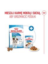 ROYAL CANIN Mini Puppy 800g karma sucha dla szczeniąt, od 2 do 10 miesiąca życia, ras małych