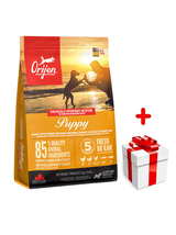ORIJEN Dog Puppy 2kg + niespodzianka dla psa GRATIS!