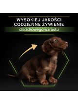 PRO PLAN Healthy Start Small & Mini Puppy Karma dla szczeniąt bogata w kurczaka 7kg / Opakowanie uszkodzone (2566,8962) !!!