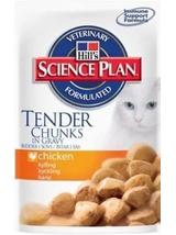 HILL'S SP Science Plan Feline Adult Kurczak 85g saszetka